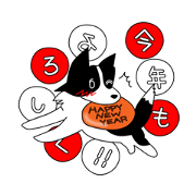 Love Love Border collies! 9