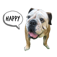 小豬漢堡與快樂小夥伴們