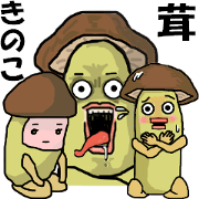 kinoko-40