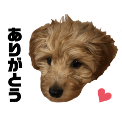 mu-chandesu