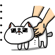 Fake Breaking Cat