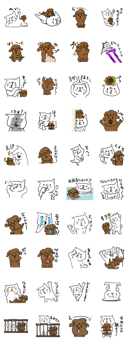 kasuneko & chacha