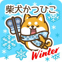 Shiba Katsuhiko in Winter