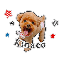 Kinaco's sticker