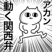 Moving serious cat