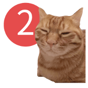 cartoon face cat 2