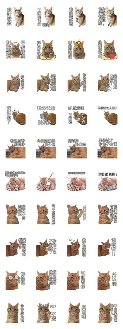 cartoon face cat 2