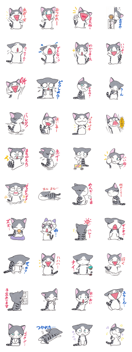 Cal Cat & Mogu Vol.5