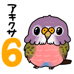 It is bird akikusa6.