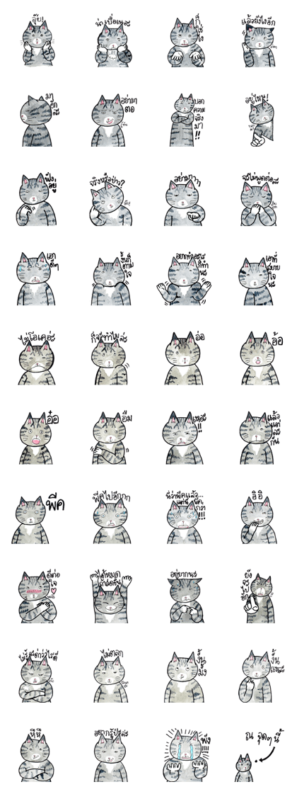 Cats fed up by Kamijn