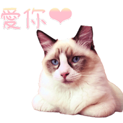 想當一隻