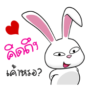 Sai Mai rabbit