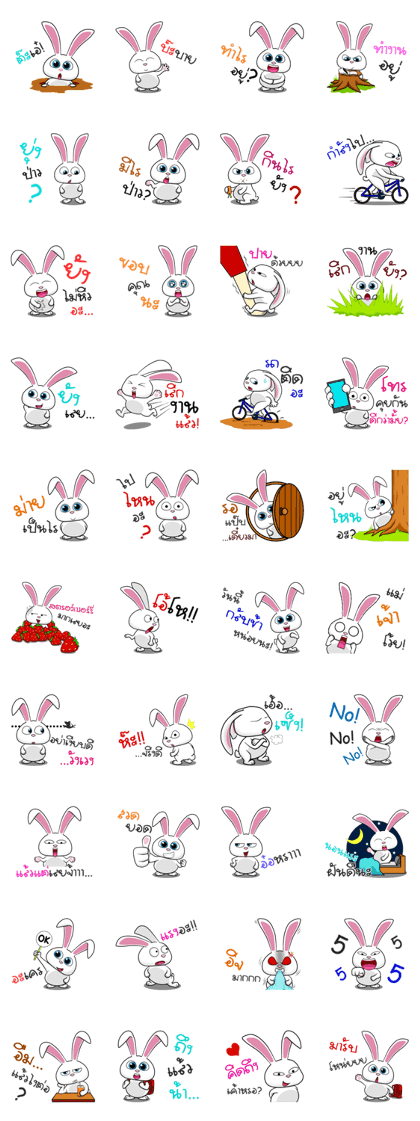 Sai Mai rabbit
