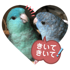 cherry_20201111113709