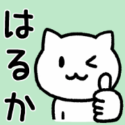 Cat for HARUKA