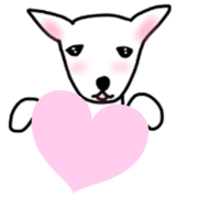 White dog sakura
