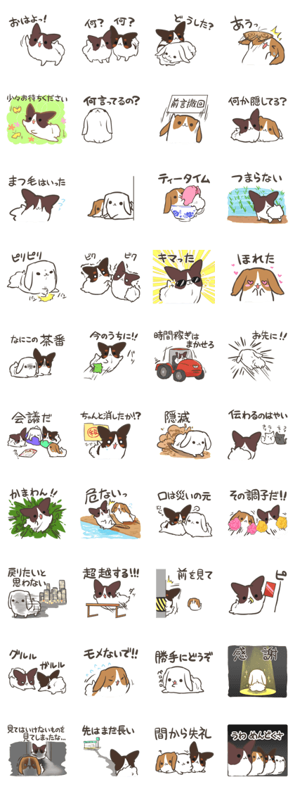 4 Papillon nestles up to daily life