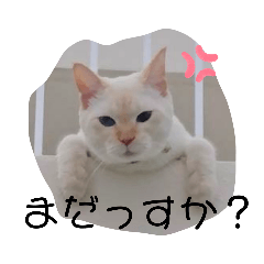 ikumi_20201111124646
