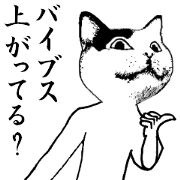 My name is a cat.