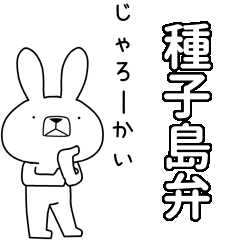 BIG Dialect rabbit[tanegashima]