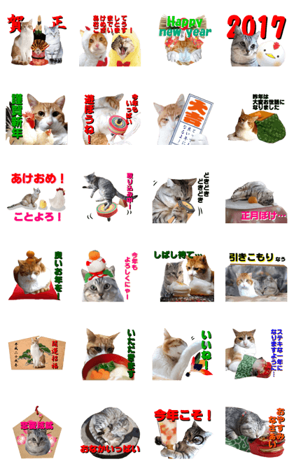 Cat's New Year