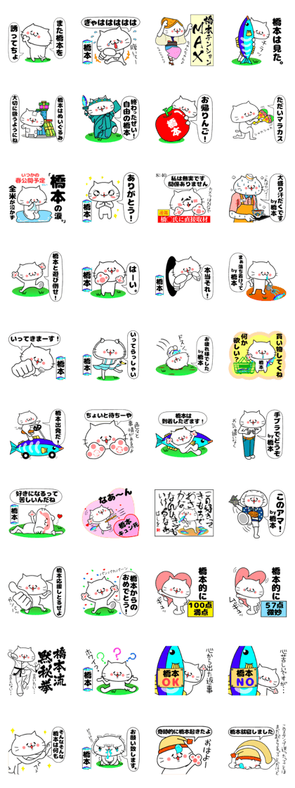 Funny Face Cat Hashimoto