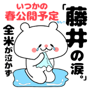 Funny Face Bear Fuji