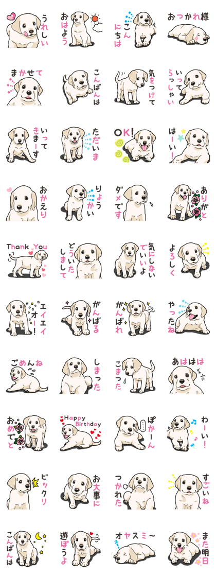 Wanko-biyori puppy Labrador retriever 3