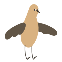 早起的鳥兒動起來