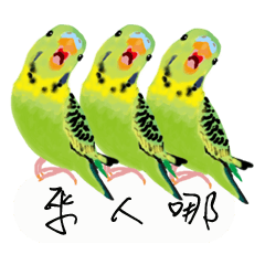Parrots love to speak