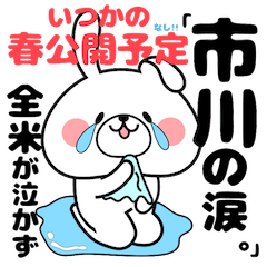 Bunny Sticker Ichikawa
