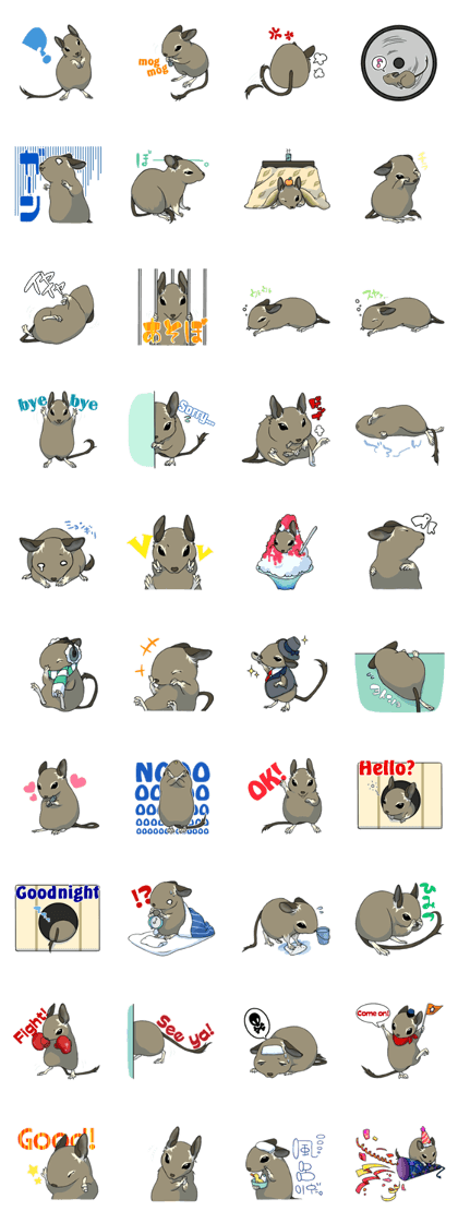 Octodon degus
