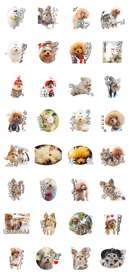 doggiesfan4