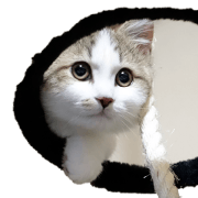 Maru&Leo2