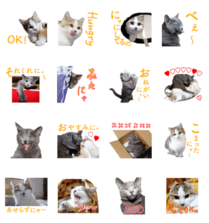 Maru&Leo2