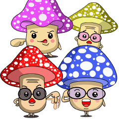 Charming World of Mushrooms