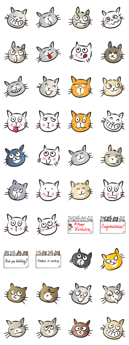 funny colorful cat