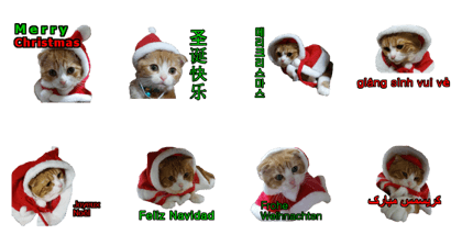 kinaco in my home3.Christmas version