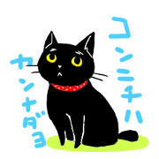 KAN-NA the cat with Haruka