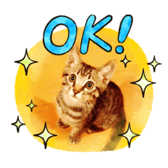 saori_20201112032052