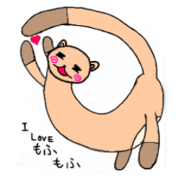 Yuru Ferret