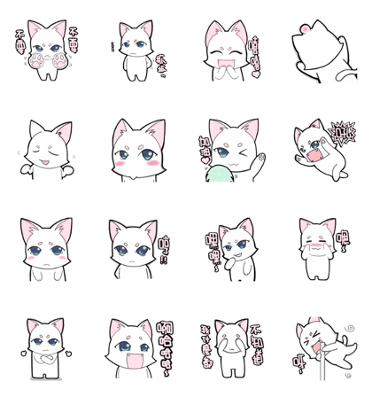 White cat's daily-2