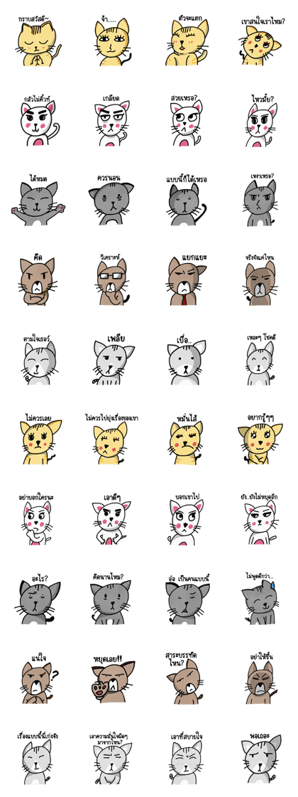 Cat Crazy Gang