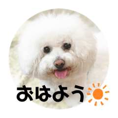 Haruna_20201111225741