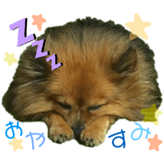 mimi_20201112020138