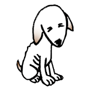 Stray dog-Ho Home
