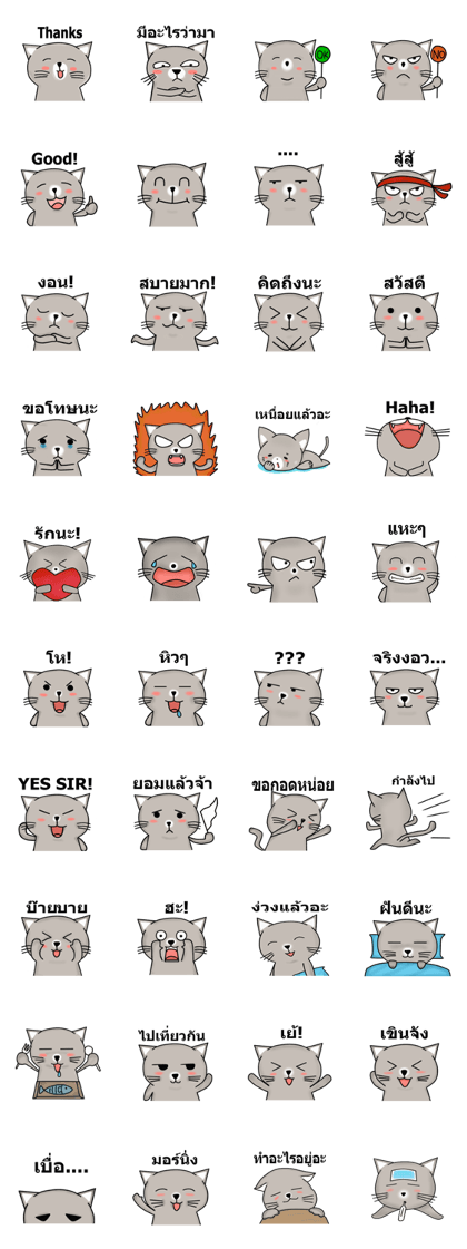 Meaw Meaw Lovely Cat