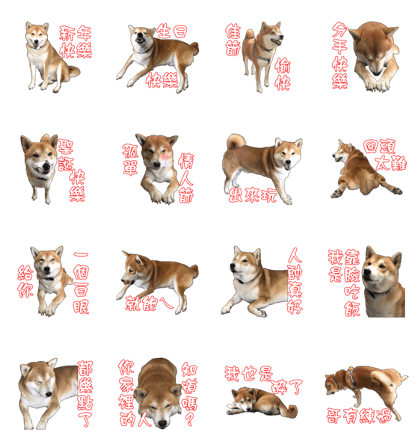 ShibaInu Greetings NewYear