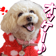 doggiesfan3