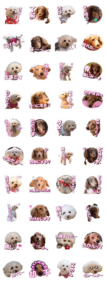 doggiesfan3